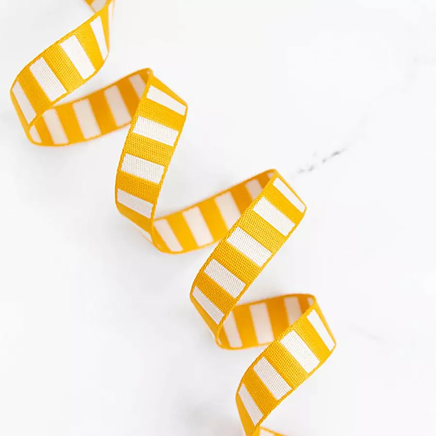 1" Bold Stripe Webbing - Cactus