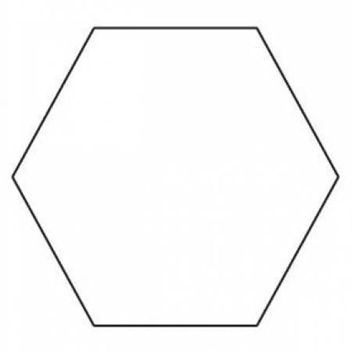 1 in Hexagon papers for EPP, Sue Daley