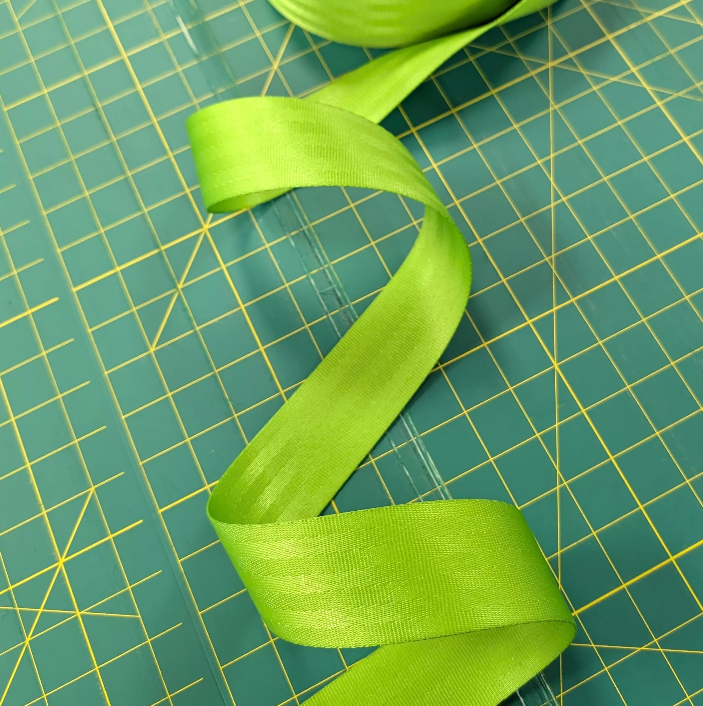 2" - Seatbelt Webbing - Grass