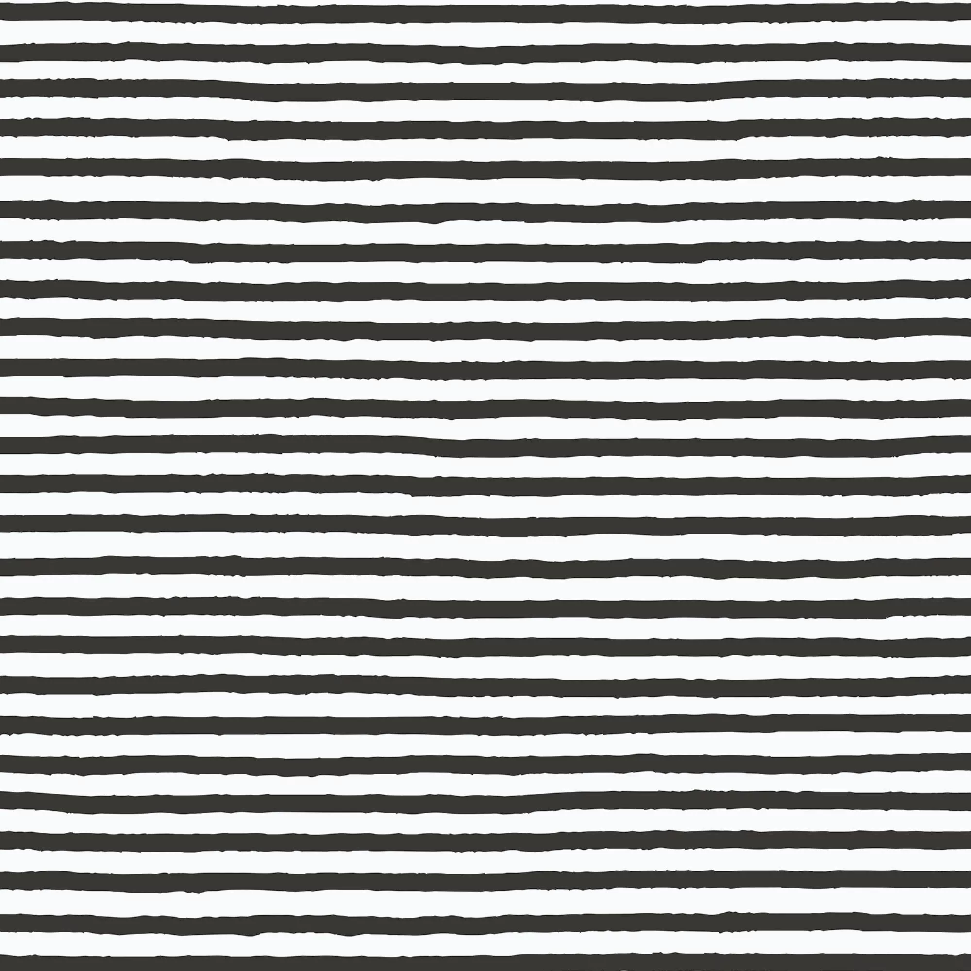 227998 Stripes - Black/White - Gothic Whimsy - Anequ Studio