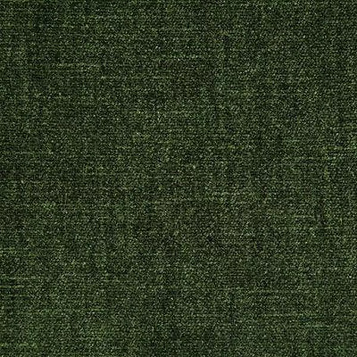7050 – KENNEDY LICHEN