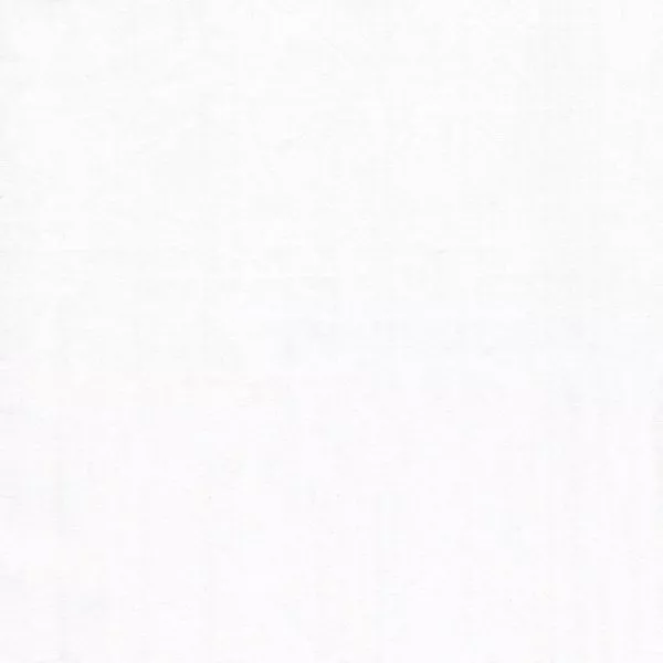 Artisan Shot Cotton Yarn Dyed Solid - White/White