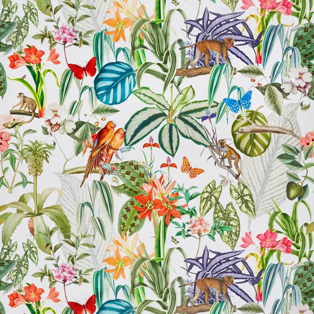 Barbados – Tropical | Order A Sample