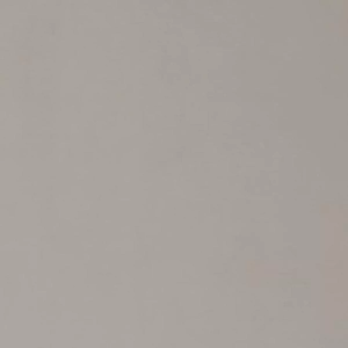 BEECHWOOD 12 PUTTY Fabric