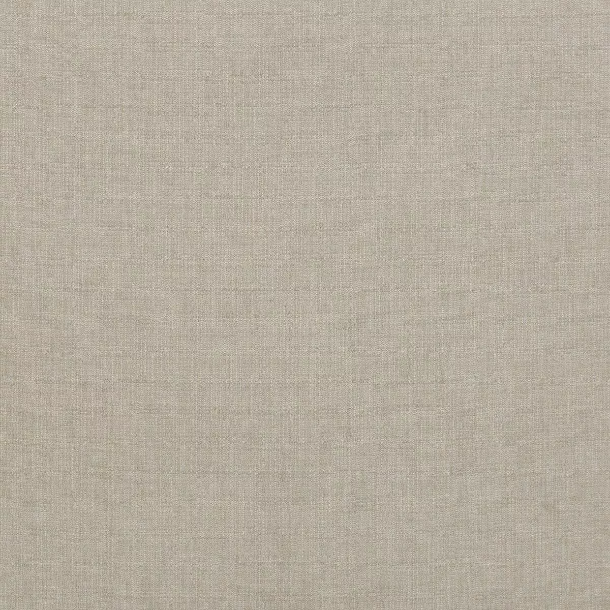 Blizzard Silver Fabric