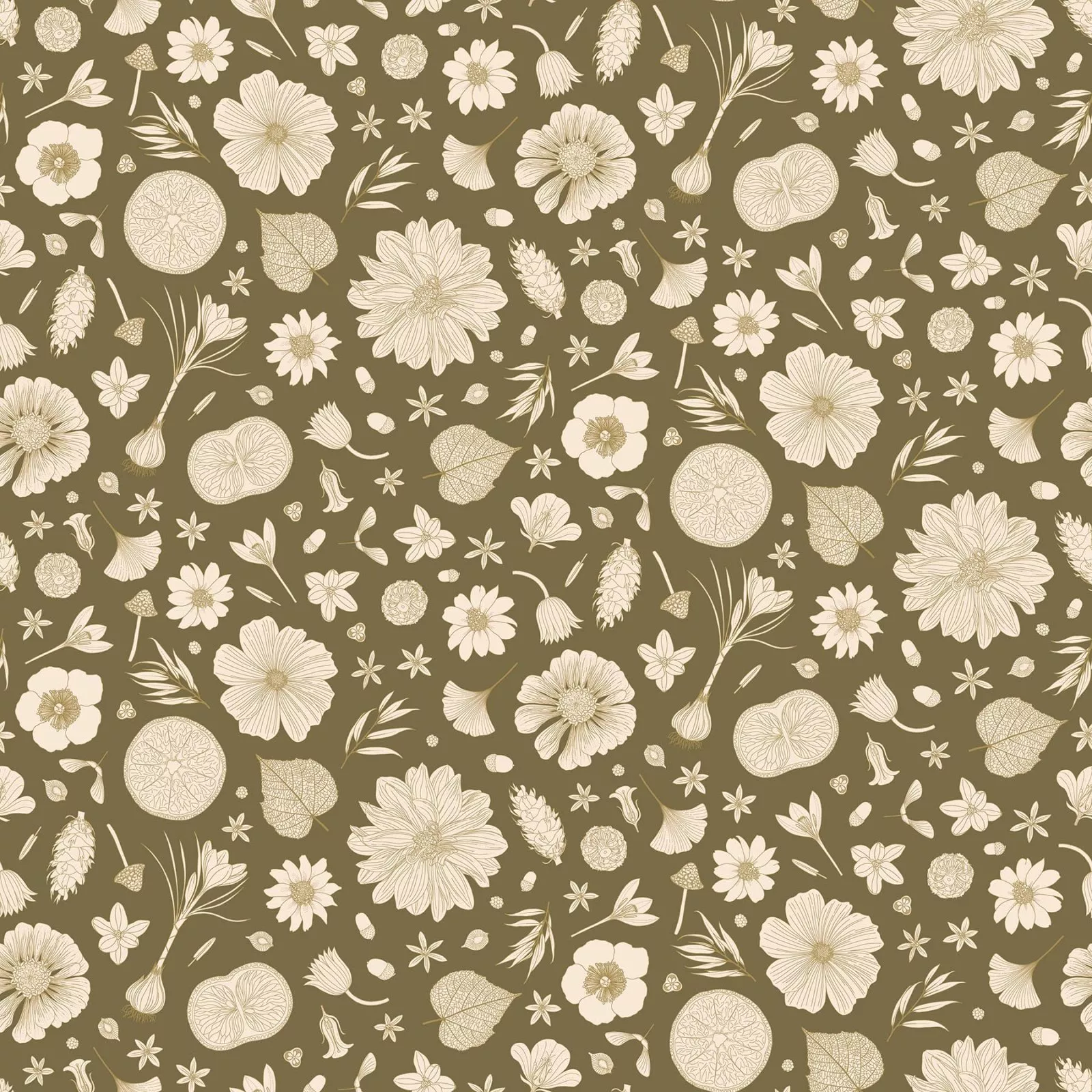 Botanist Etching Olive