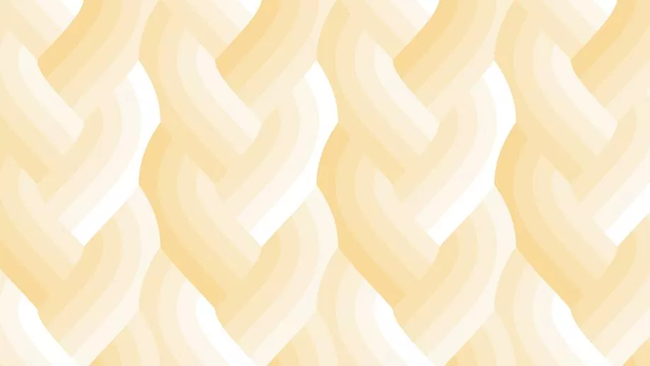 Braid Ombre - Ivory - Echo - Emily Van Hoff