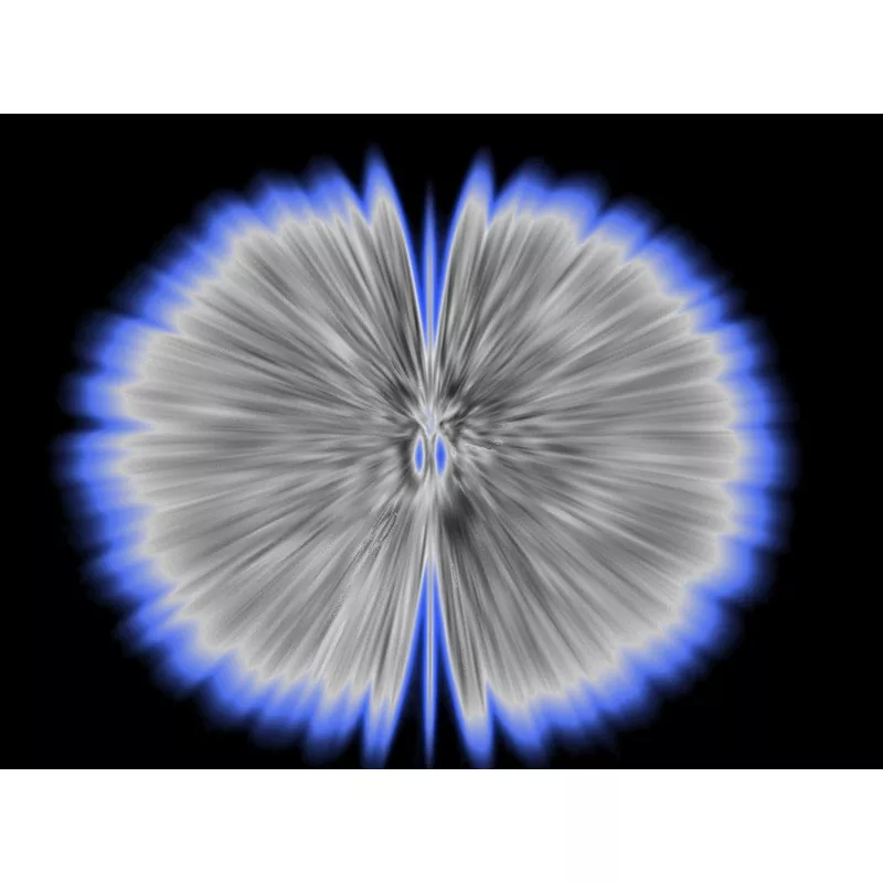 Butterfly Experiments