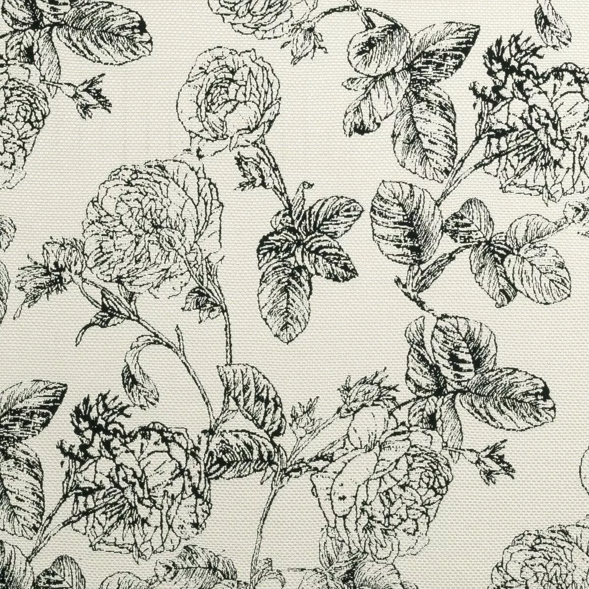 Bw1035 Black/White Fabric