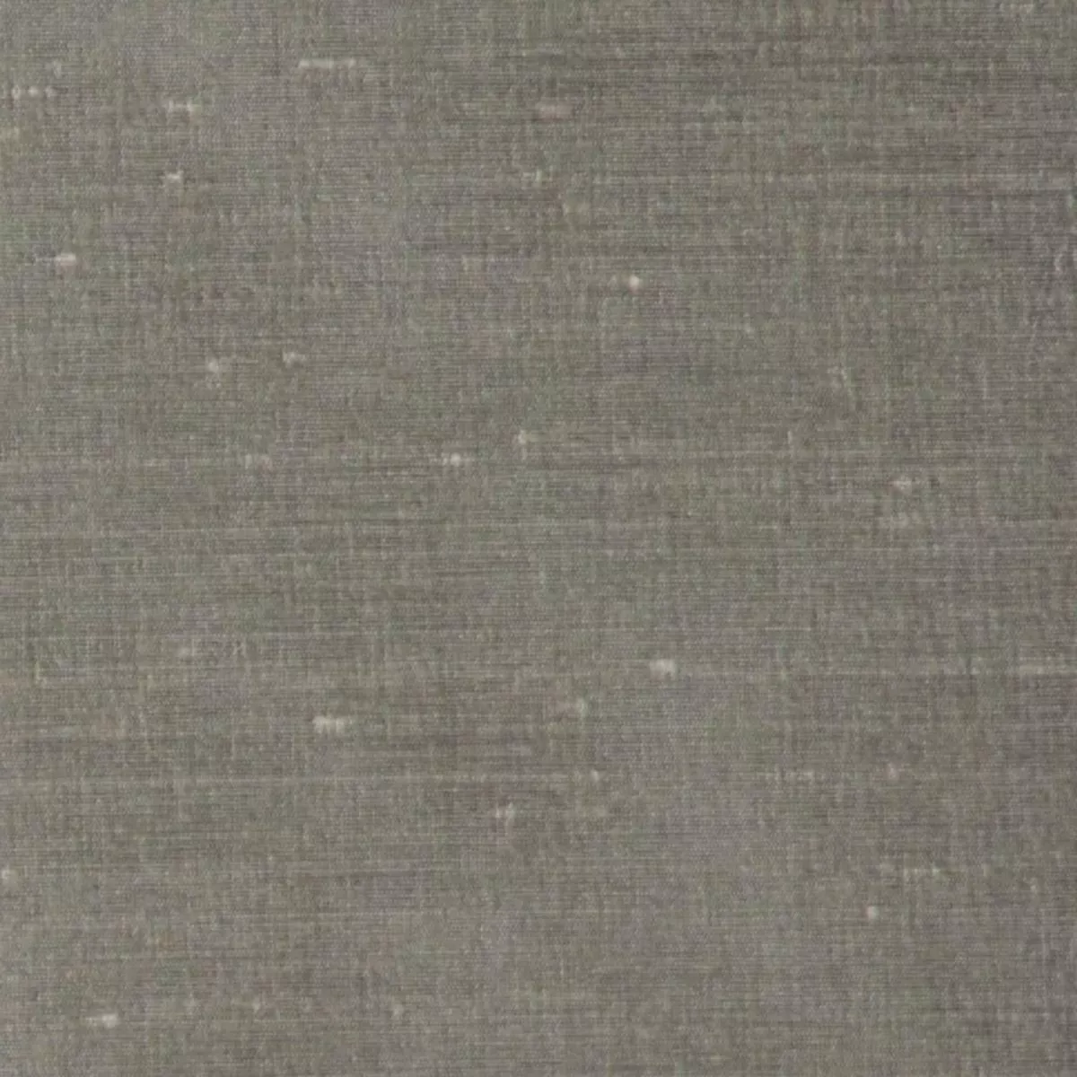 CARINA ASH RM Coco Fabric