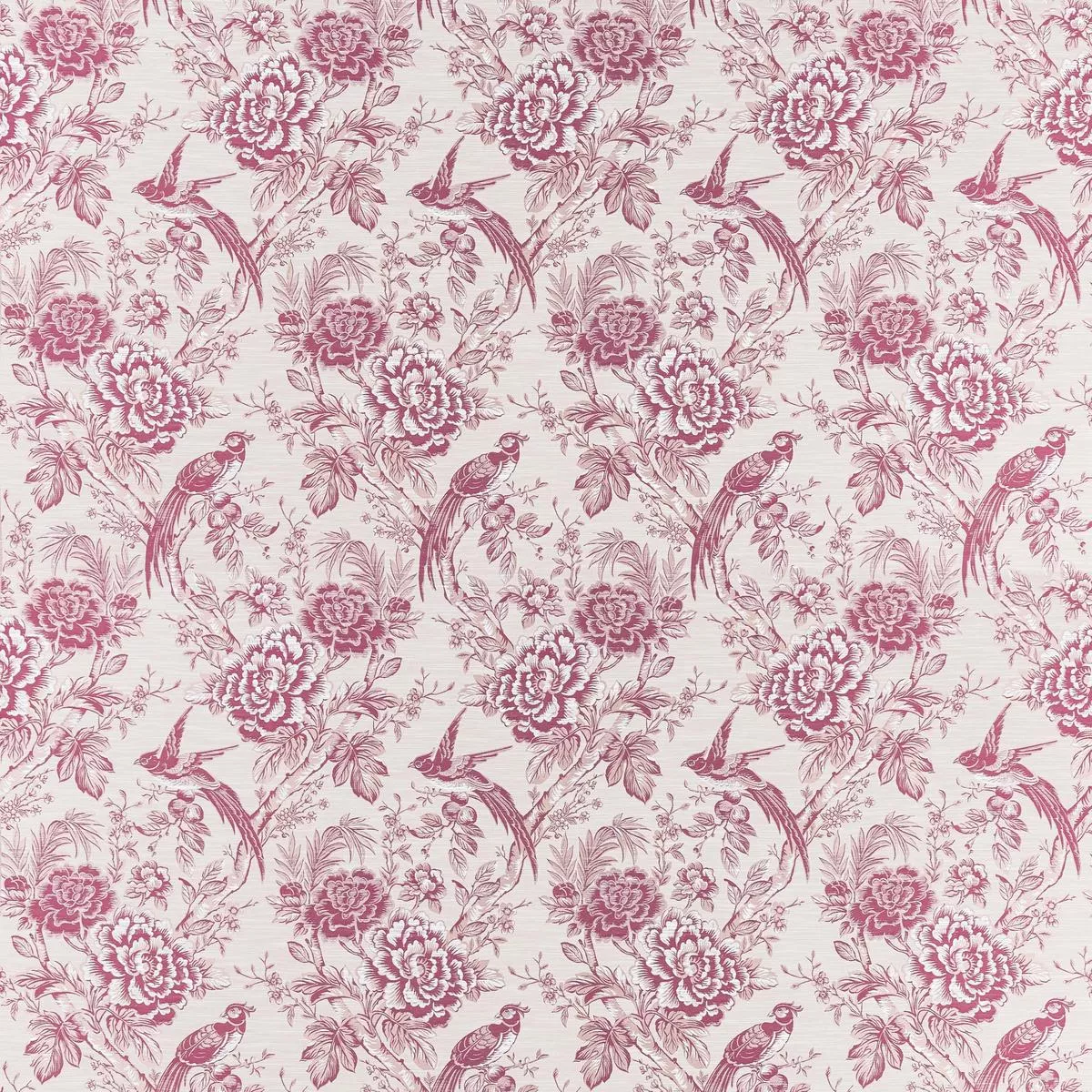 Clarke & Clarke Avium Raspberry Fabric