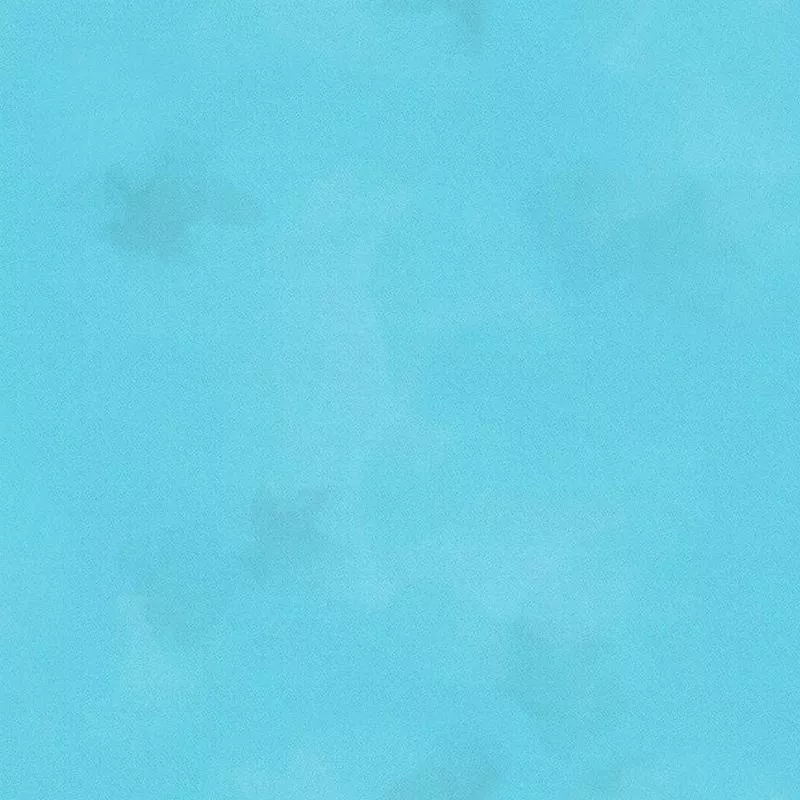 Colorstock – Splash Brushstroke