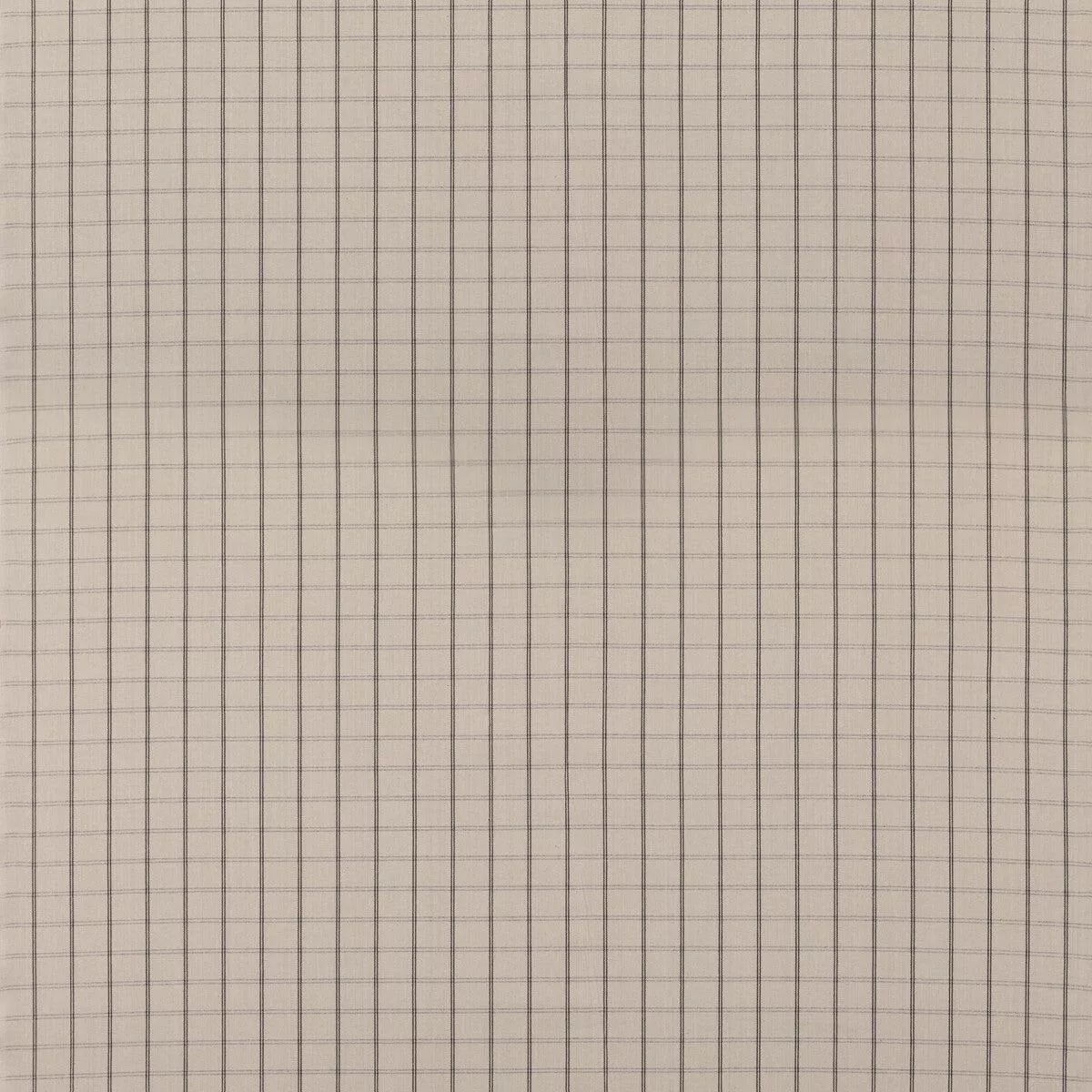 Compass Check Stone Fabric