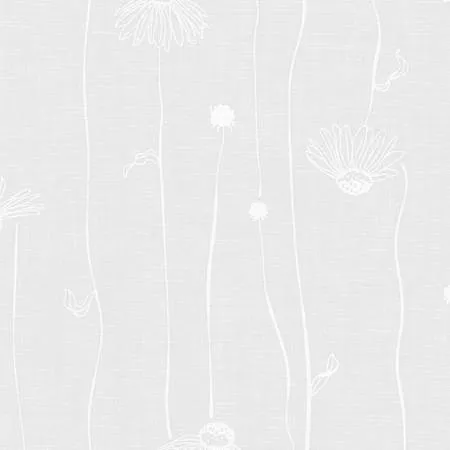 Cone Flowers White