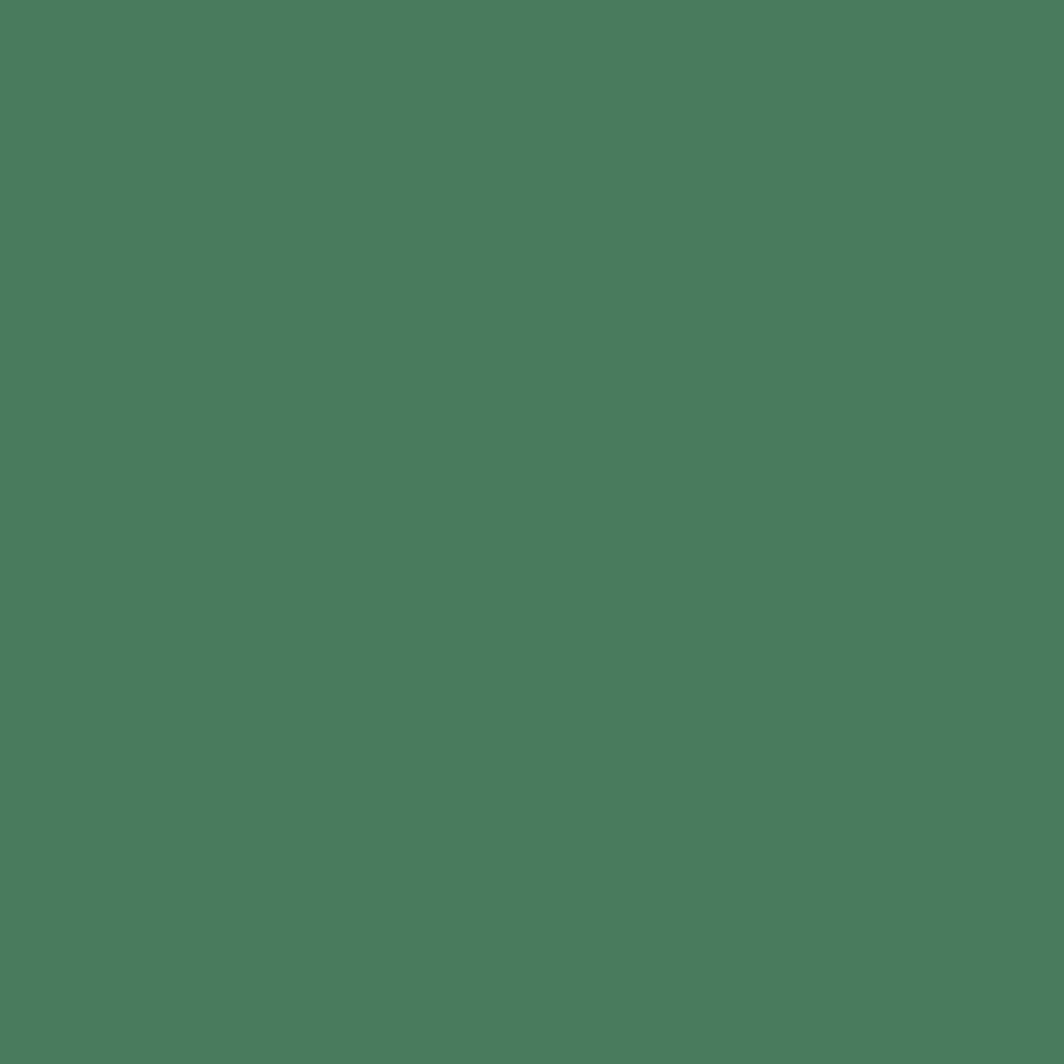 Confetti Cotton Solids 1 – Cactus