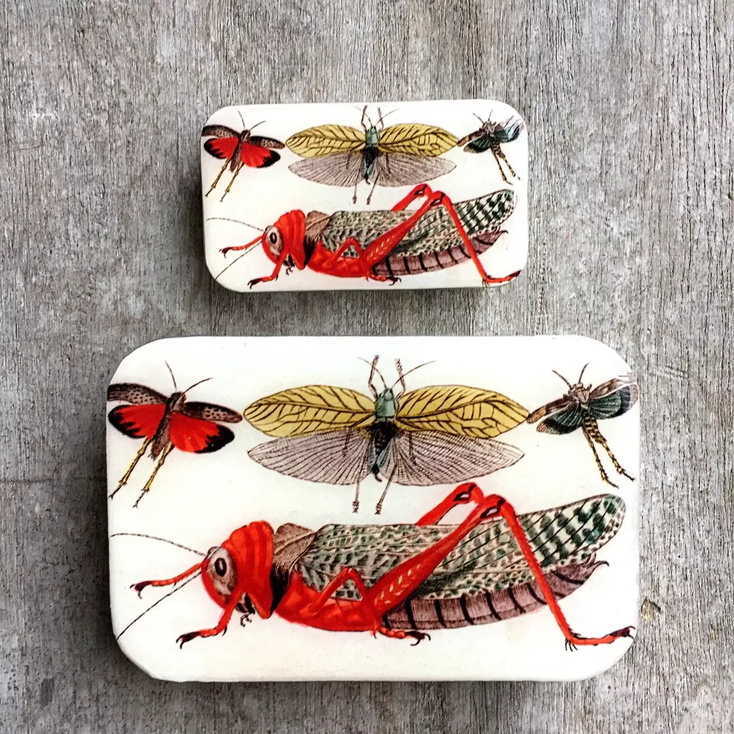 Cricket Storage Tin/Small (Firefly Notes)