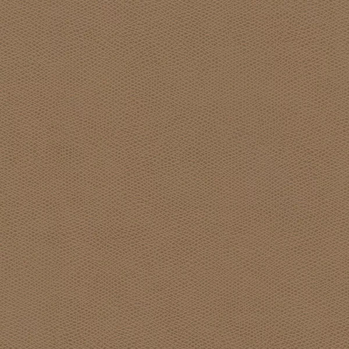 Cured Cured-11 Fabric