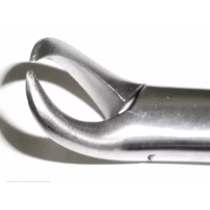 Dental Forcep #23