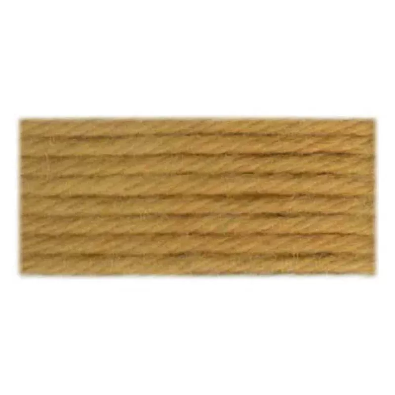 DMC Soft Cotton Matte Tapestry Thread 10 m Colour 2421