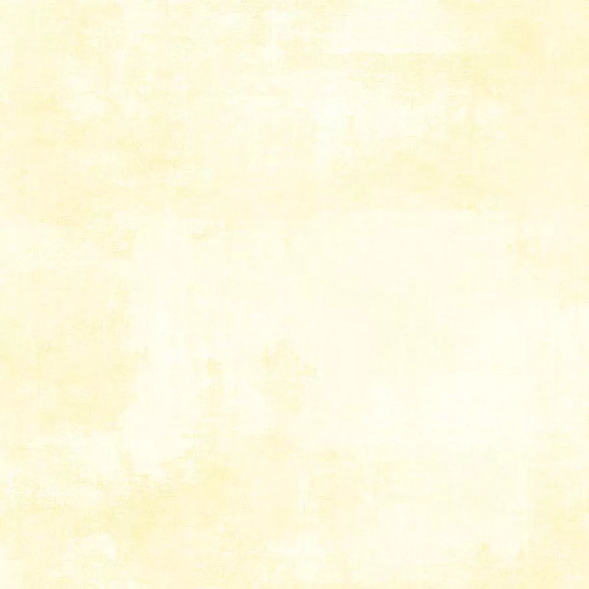 Dry Brush 89205 500