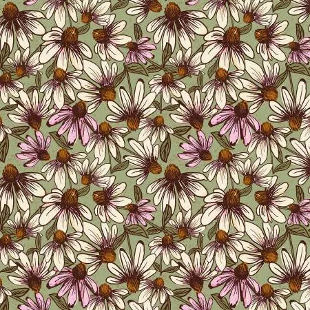 Echinacea - Olive - Coneflower Corral