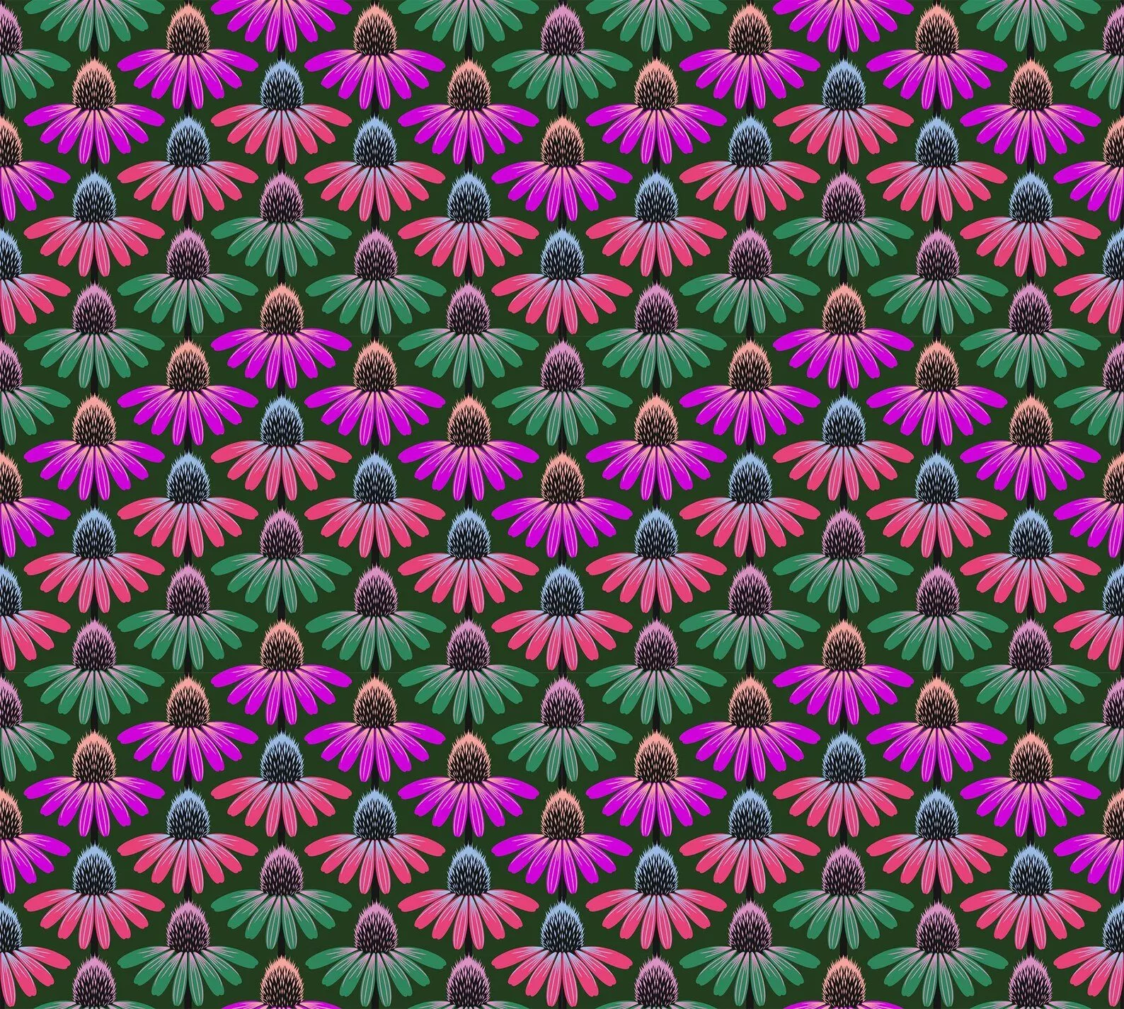 Echinacea Rhythm Forest