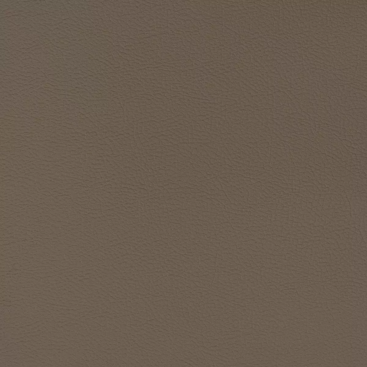 Faux Textured Leather Mink Fabric