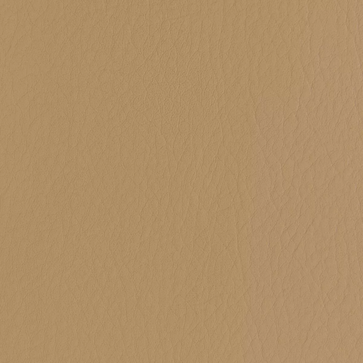 Forza Caramel Fabric