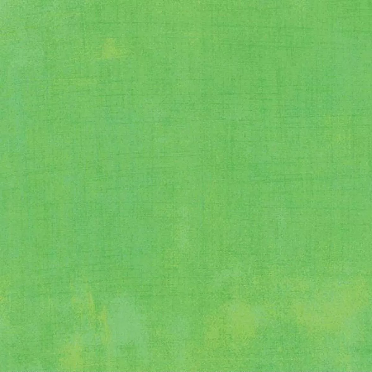 Grunge Basics – Kiwi
