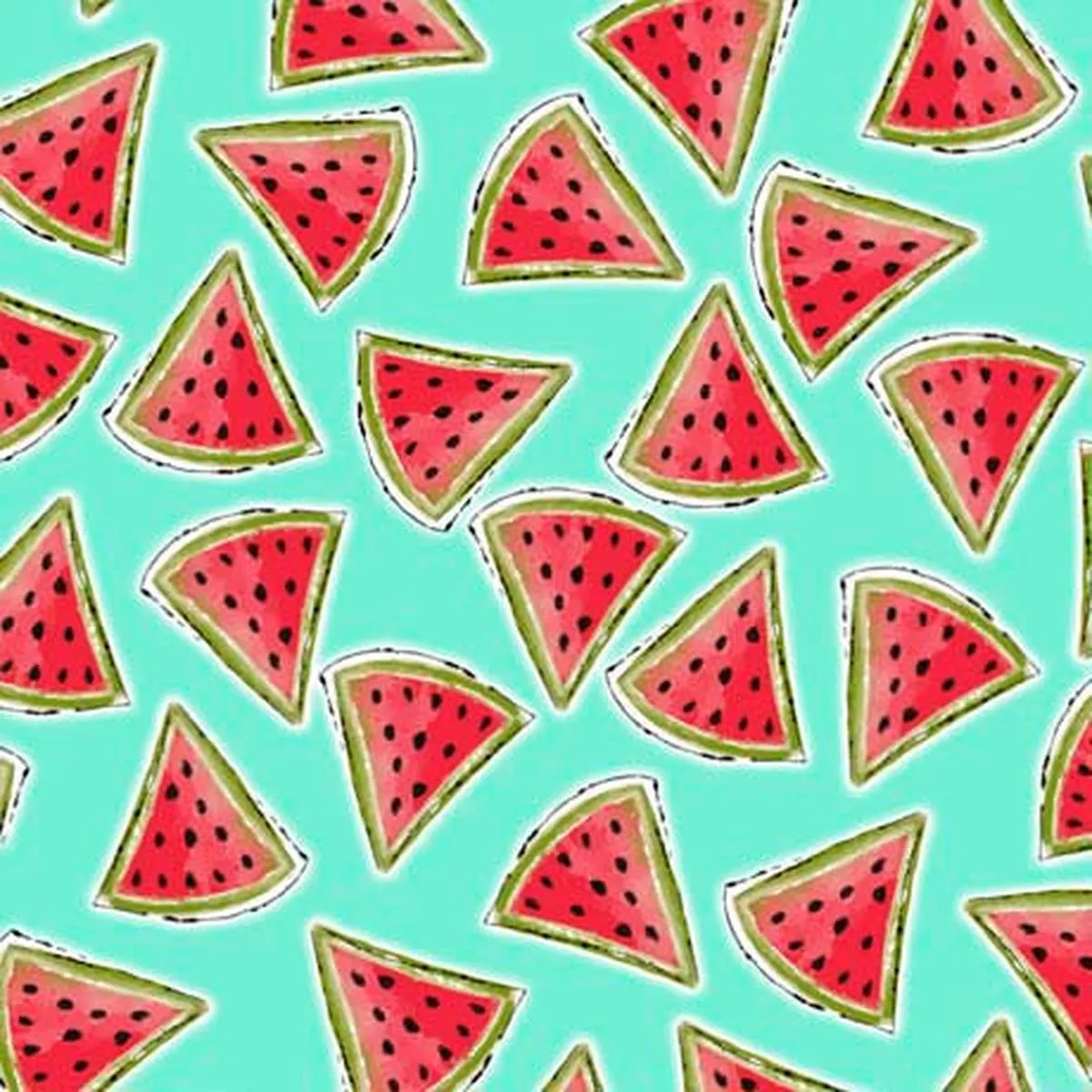 Happy Campers-Watermelon