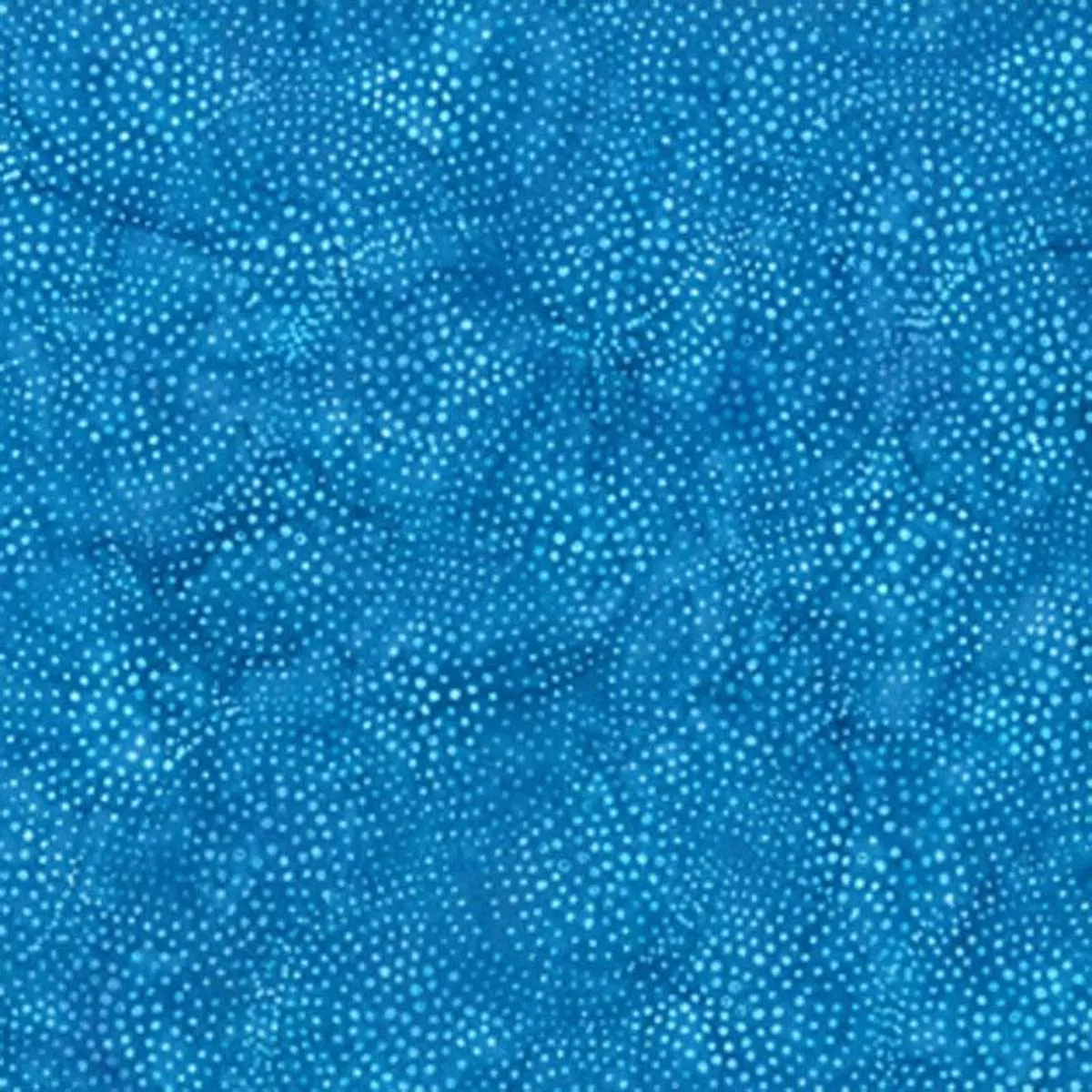 Hoffman Dotty Scallop X2622 603 Election Day