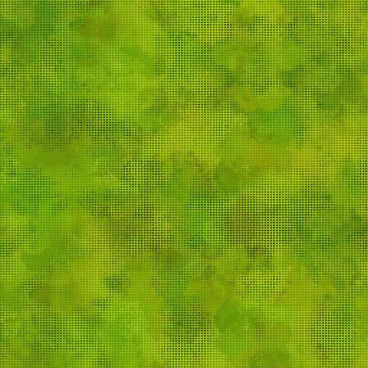 In the Beginning Dit Dot Evolution 1DDE 21 Lime X