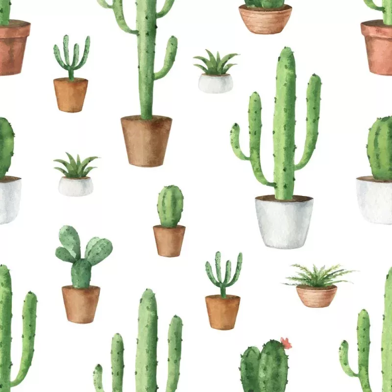 Indoor Green Plants Cactus Fabric