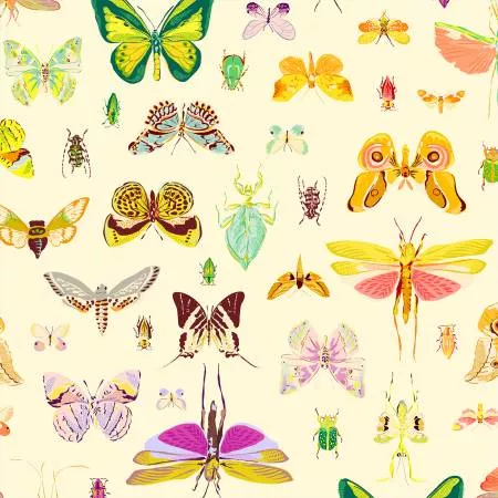 Insectarium - On Display - Light - Tamara Kate