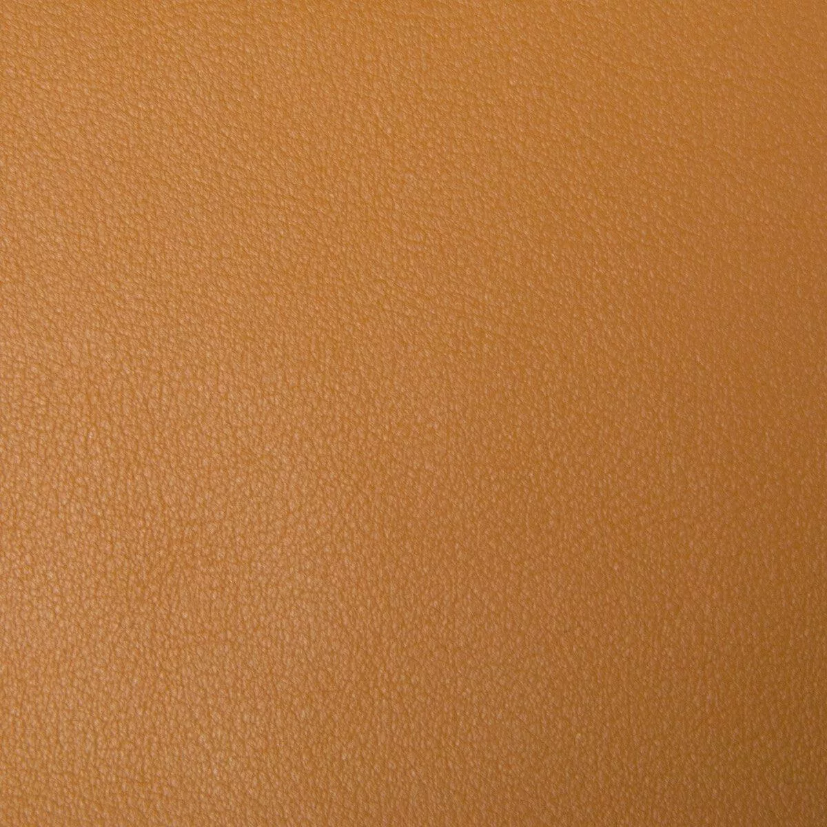 Kravet Contract Berta-4 Fabric