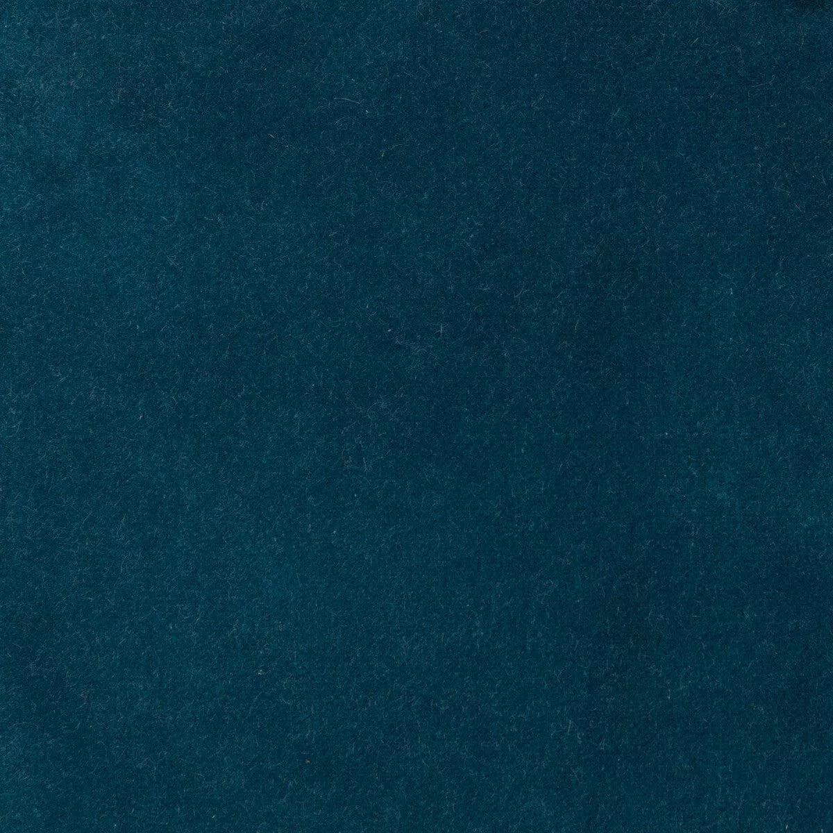 Kravet Design 35366-505 Fabric