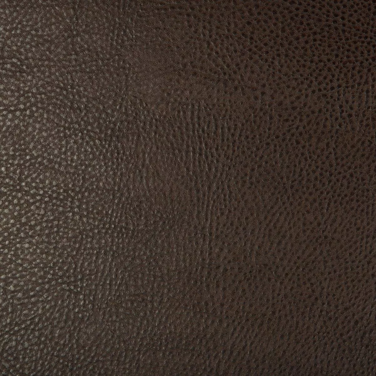 Kravet Design Beholder-6 Fabric