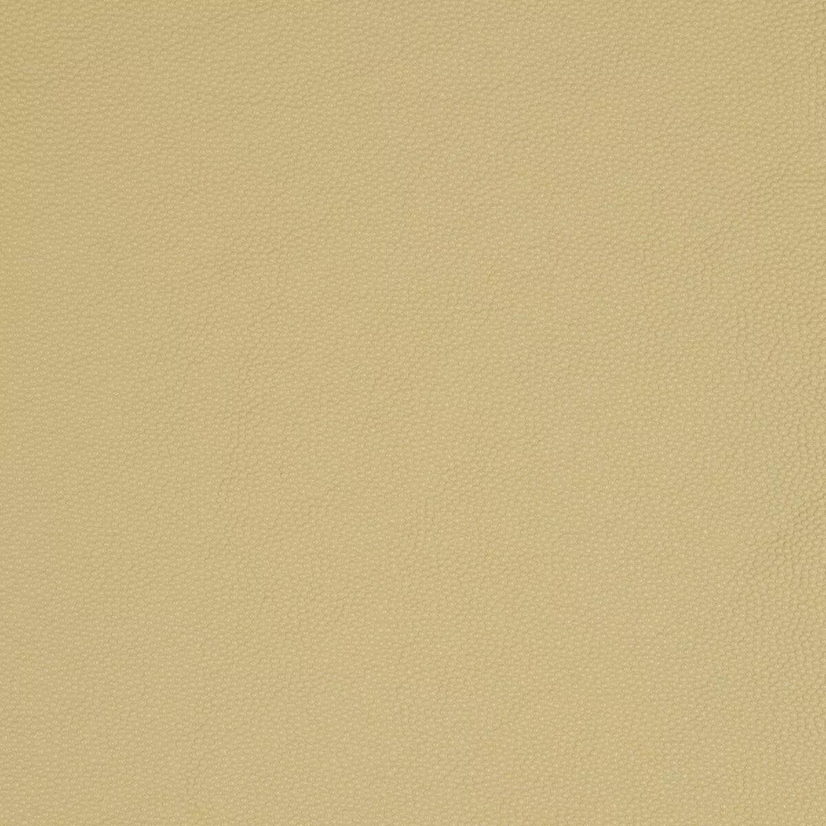 Kravet Smart-Aldwin-16