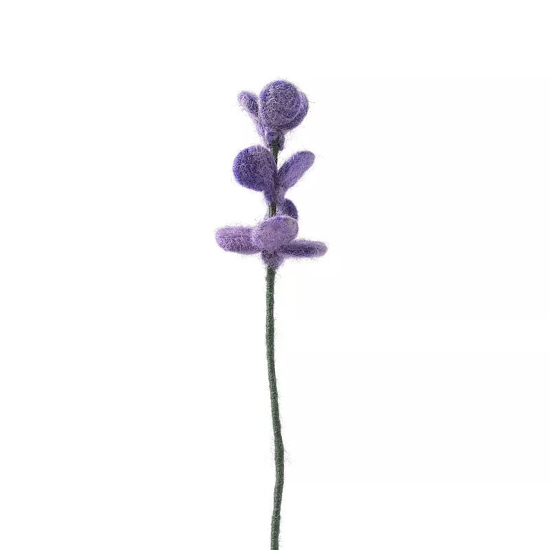Lavender / Purple