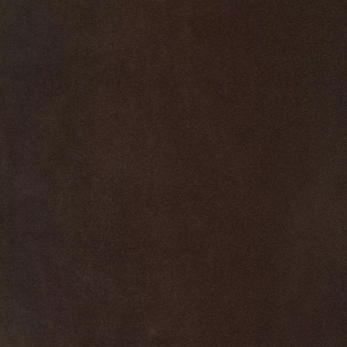 Map Espresso Regal Fabric
