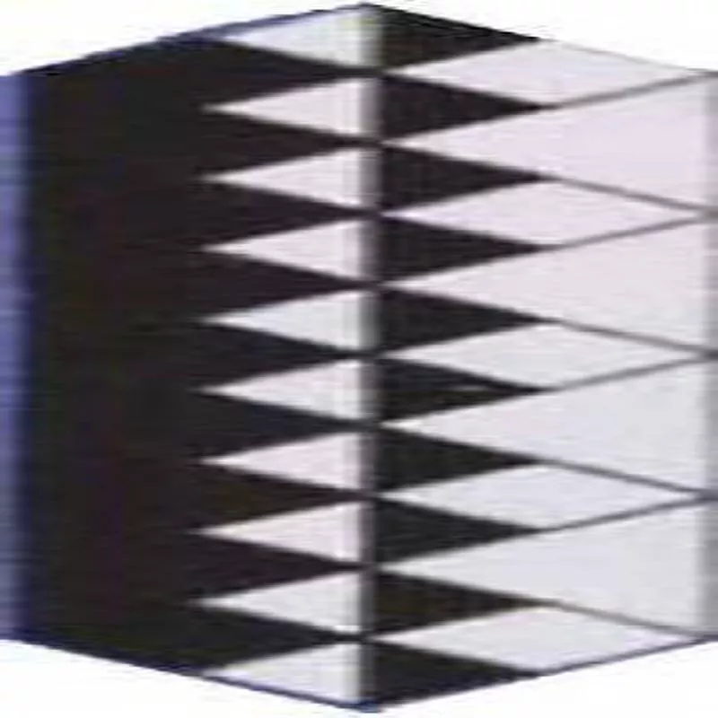 Mirror Image Tiny 24