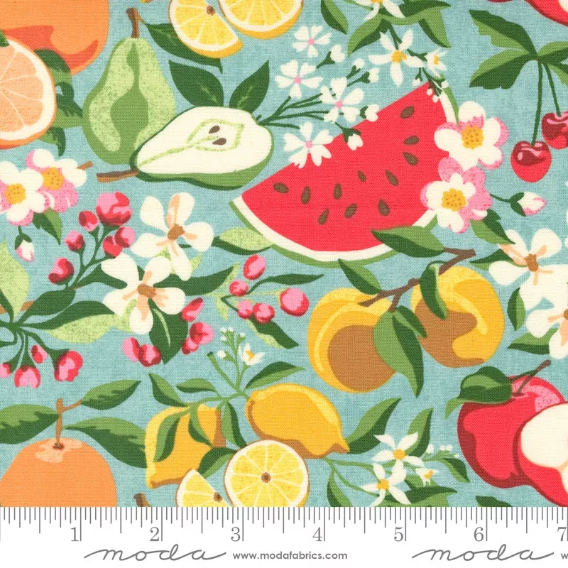 Moda | Basic Grey | Fruit Loop | 30730 16 | Jenipapo