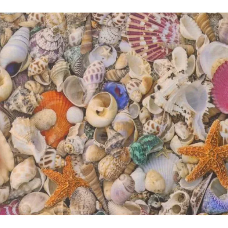 Moda Fabrics – Saltwater – Shells– 1/2 YARD CUT