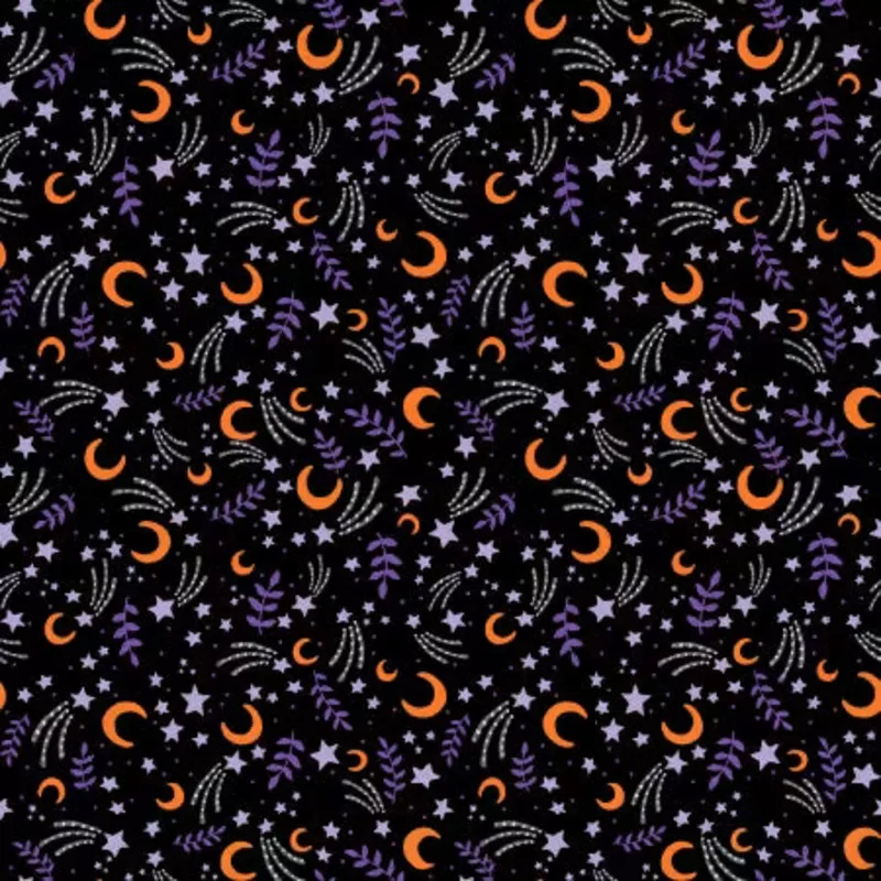 Moonlit Mischief – October Sky In Black