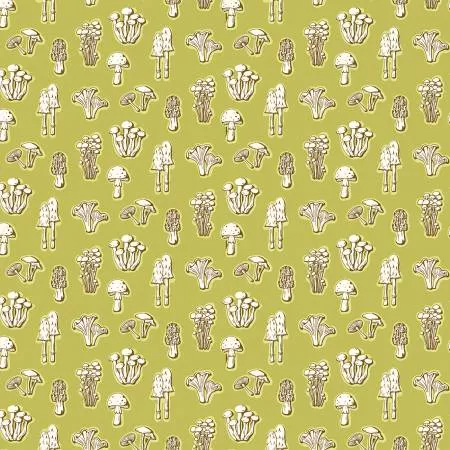 Mushrooms - Sprout - Summer School