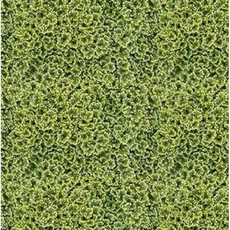 Naturescape – Green Clover