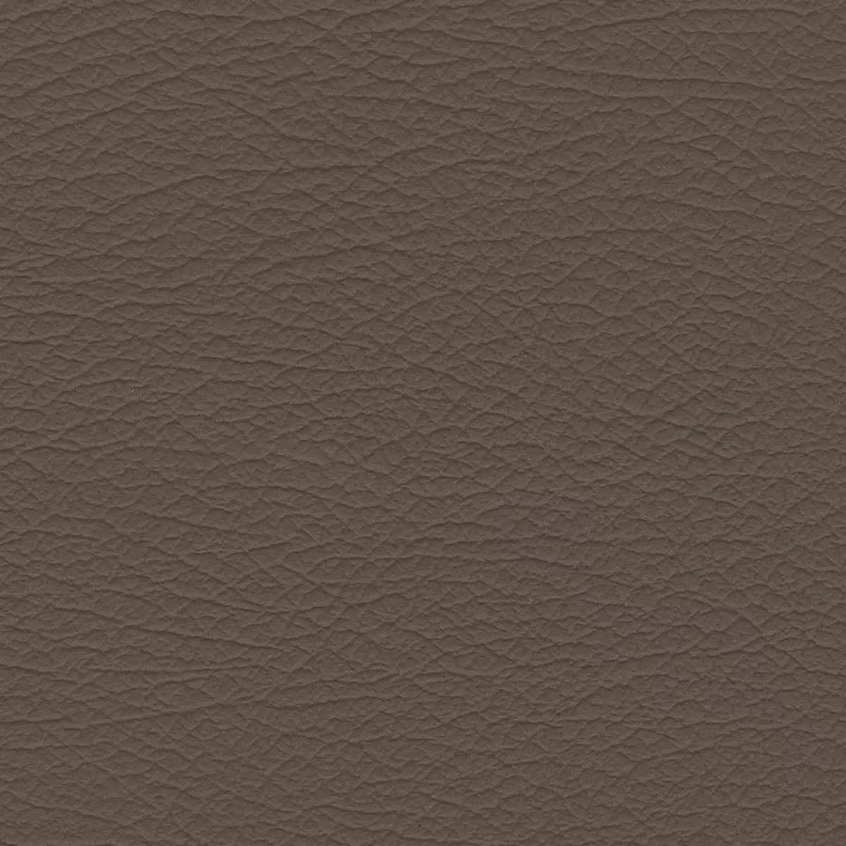 Nuance 2463 Med. Neutral Fabric