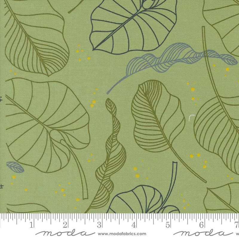 Olive You Leaves Sage