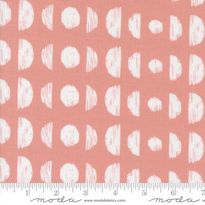 Phases - Camellia - Botany - Alli K Design
