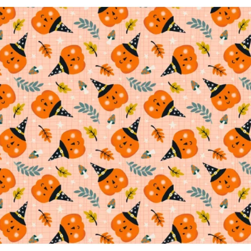 Phoebe Fabrics – Ghostly Garden – Pumpkin Patch – 1/2 YARD CUT